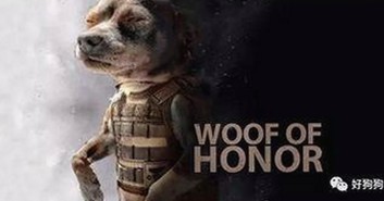 最新日批视频免费版官方版：持续引领成人内容新潮流