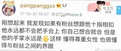 揭秘：使用windows11国产免费软件官方版，体验本土科技新魅力