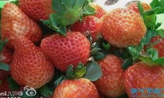 揭秘：使用windows11国产免费软件官方版，体验本土科技新魅力