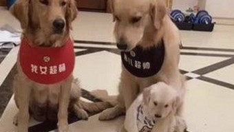 免费黄色免费官方版：最新资源现已稳定上线，满足您的所有需求