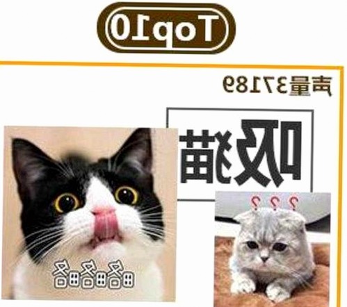 揭秘91禁🍆🍑🔞❌❌❌看片17cco官方版下载的最新动态