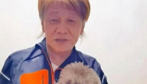 关于91免费官方版免费版的详细介绍与下载指南