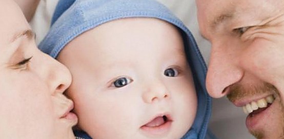 关于永久mt660与免费版的详细介绍及相关资源分析