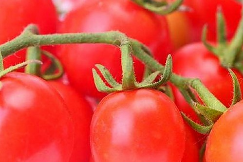 YELLOW片在线观看免费高清：最新影视资源与下载指南