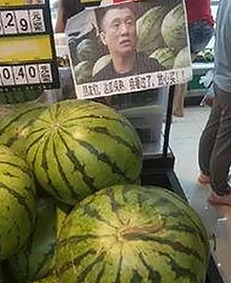 最新91🍆🍑🔞❌❌❌一起草wwwcom91安装包下载，全面了解相关资源