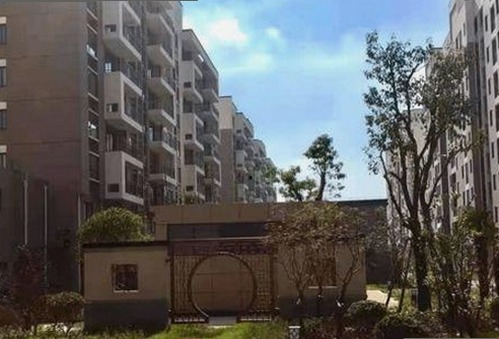 麻豆视频在线观看官方版正版下载：探索内容多样性与最新资源