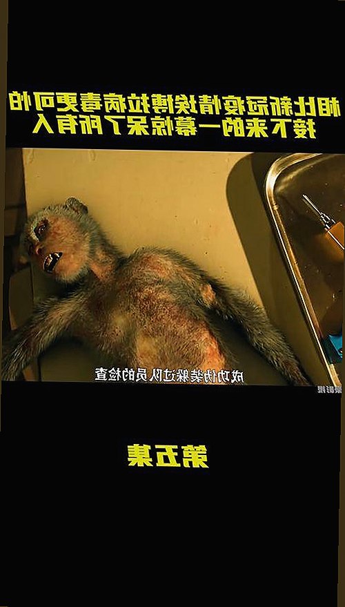 探秘日批视频官方版免费版：最新版本功能与下载指南