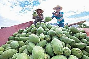 黑料 官网官方版：揭秘娱乐圈的背后故事与最新动态