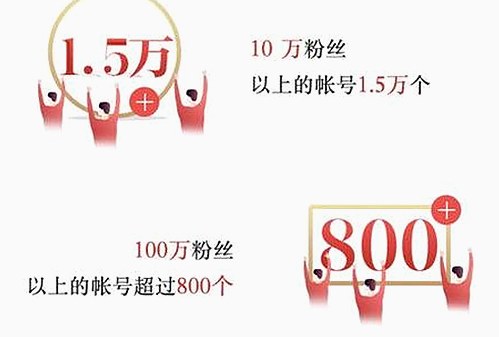 揭秘免费91官方版下载：从争议到现状的转变