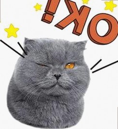 成人网最新版下载：掌握最新资源，满足多样需求