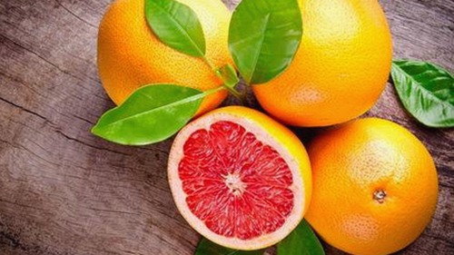 探索樱花视频免费版：全方位体验与内容分析