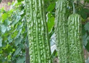 最新黄色软件下载平台整合：多款热门资源一站式获取