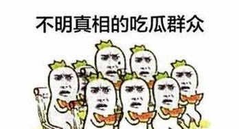 揭秘娱乐圈：高清乱码🔞❌♋波萝视频官方版下载引发关注