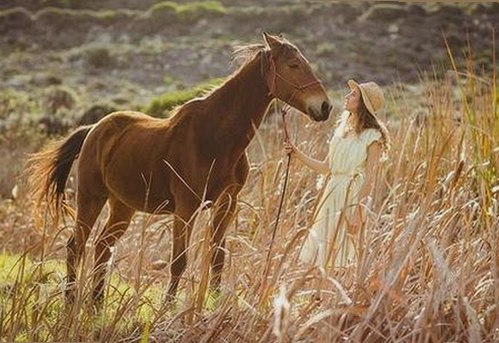 揭秘娱乐圈热议的51吃瓜网官方版：流量背后的真相与争议