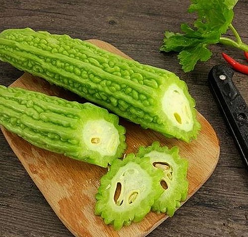 探索《91 一起草wwwcom91官方版下载》的多样资源与优势