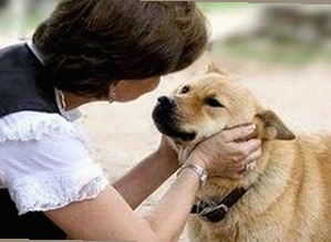 迷雾中的选择：麻豆网站免费版带您领略网络娱乐的多样性