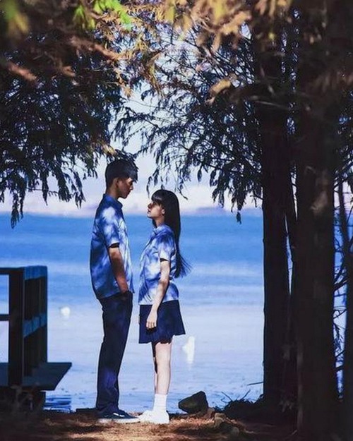 全面解析菠萝TV官方版：最新在线观看体验与资源更新