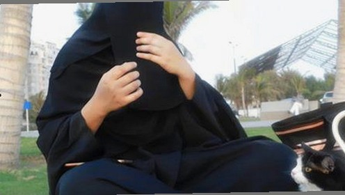 全面解析：豆花视频最新版下载与相关资源介绍