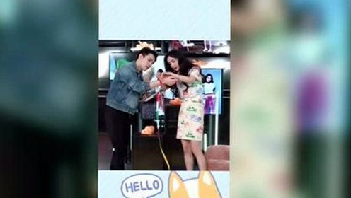 明星追看：如何免费观看45分钟高清电视动漫？