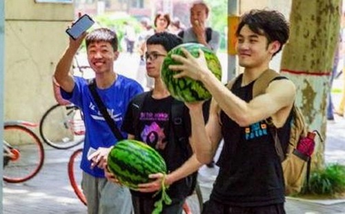 内线全集下载：了解最新影视资源的全面指南