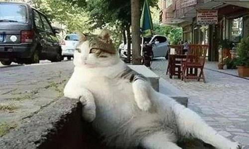 探索呼伦贝尔市的数字娱乐：91漫画官方版下载免费版全新体验