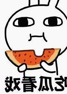 成人网官方版下载：揭秘背后人物与最新版本动态