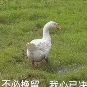 ae做片段视频与免费版：从基础到最新资源的全方位解析