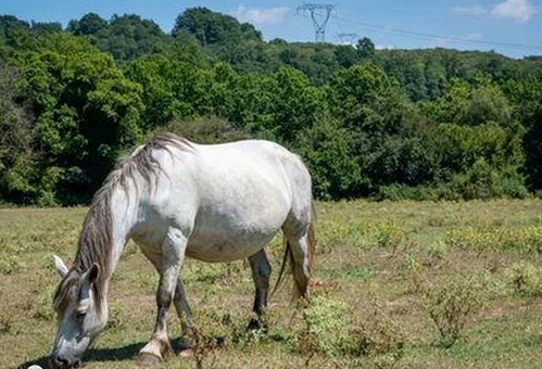 全面解析91破解版官方版下载及相关资源推荐