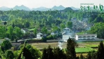 中山市用户关注：糖心vlgo官网安装包下载指南与最新内容推荐