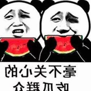 探索明星生活的背后：www91官方版下载带你了解最新动态