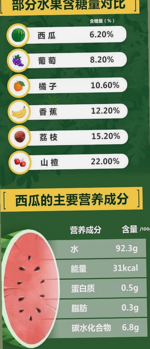 最新发布：91免费2026最新版带来全面升级体验