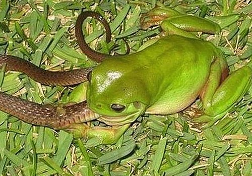 明星背后故事揭秘：如何免费观看40分钟大片的电视剧免费版