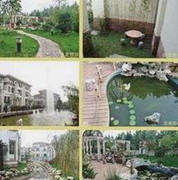 探索A片最新版下载背后的安全与内容更新情况