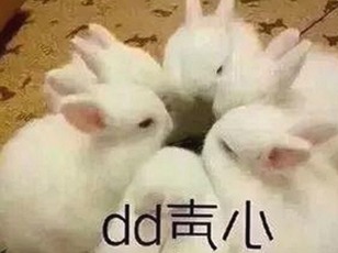 最新消息：菠萝视频官方版正版下载带你畅享高清内容