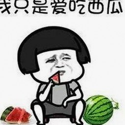 全面解析：如何安全下载看片官方版下载以保障观看体验