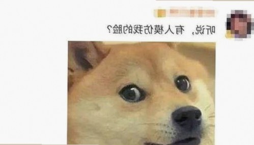 深入了解禁漫天堂下载免费版下载及相关热门资源