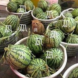 18馃埐：探索最新娱乐资源与免费视频平台