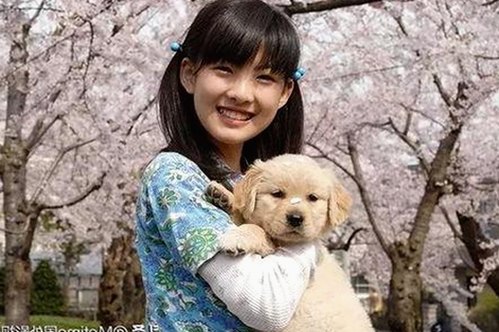 揭秘：啪啪视频官方版在大庆市的最新动态与内容介绍