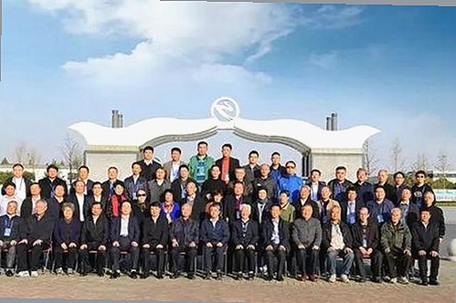 免费看mv大片的app官方版下载：畅享高清影视新体验