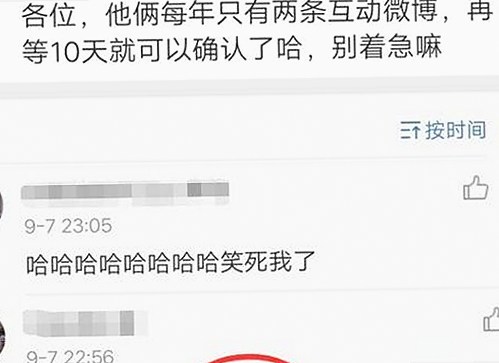 关于麻豆视频在线观看官方版下载的最新信息与资源介绍