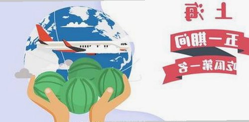 最新动态：红桃视频官方版引领行业潮流，全面提升用户体验