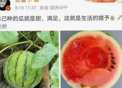 红桃视频免费版：网络娱乐新体验与法律边界的思考