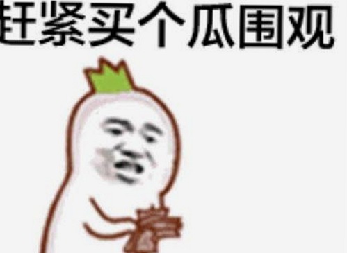 探索91网站免费版官方版：安全与便捷的选择对比