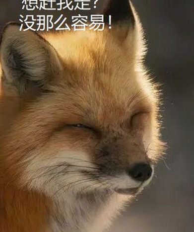 探索最新的www.91色😍萝网站最新版下载：体验多样互动内容