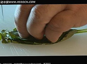 探索日批视频官方版正版下载：安全、高清的选择指南