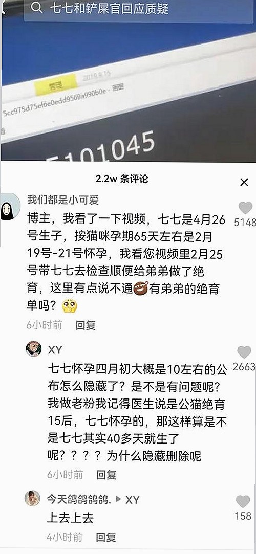 已满十八在线观看高清电视剧推荐官方版正版下载：最新流媒体资源解析