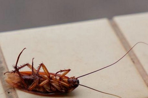 最新上线：x7瓯美x7x7任意噪官方版引发热议