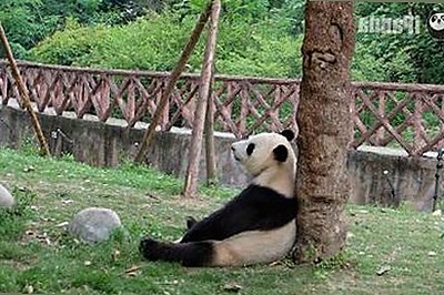 丫丫影院免费高清电视剧观看最新版下载：畅享最新影视资源指南